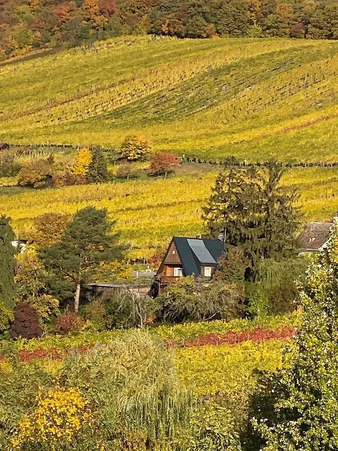 Vacationhome In The Vineyards Vienna Holiday home