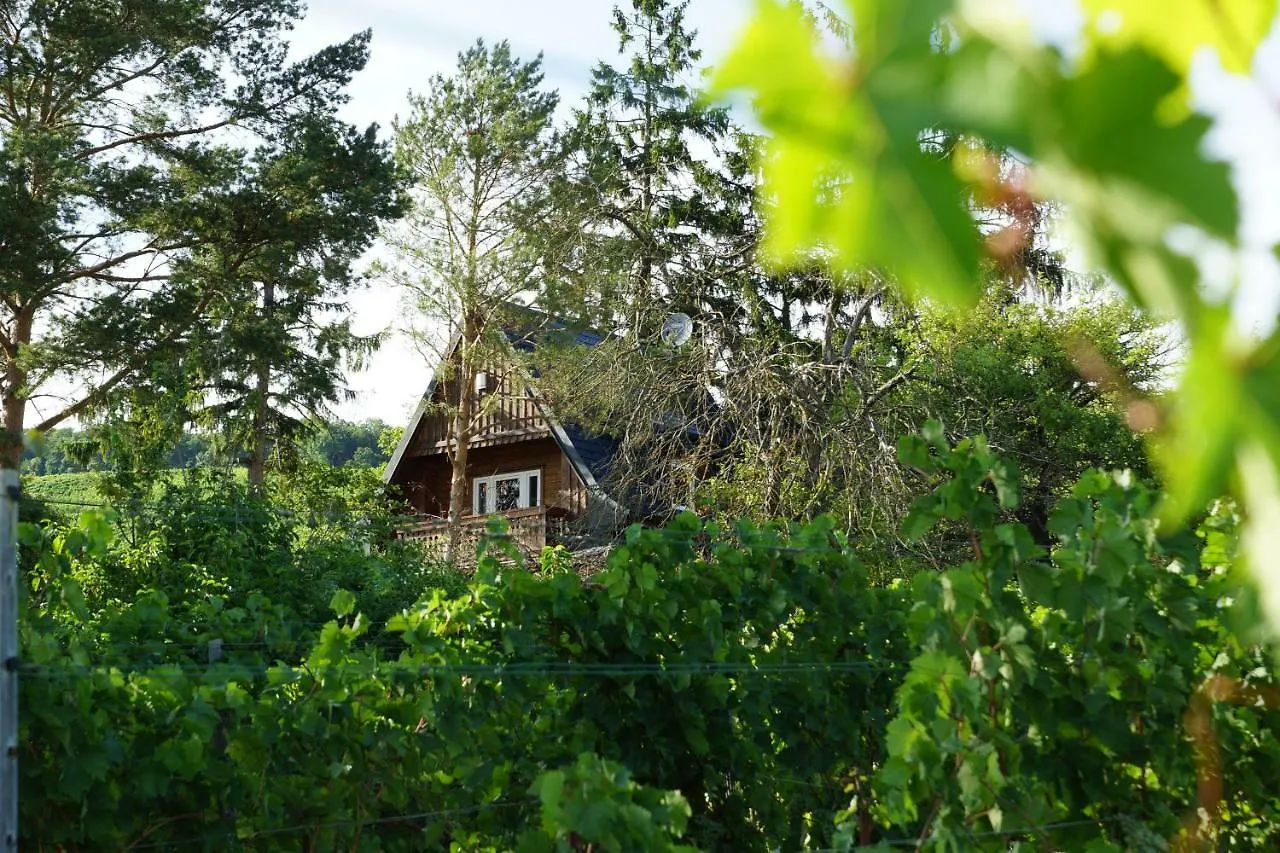 Vacationhome In The Vineyards Vienna Holiday home