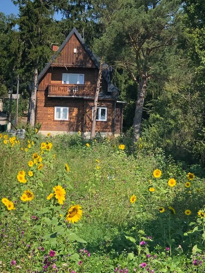 Vacationhome In The Vineyards Vienna