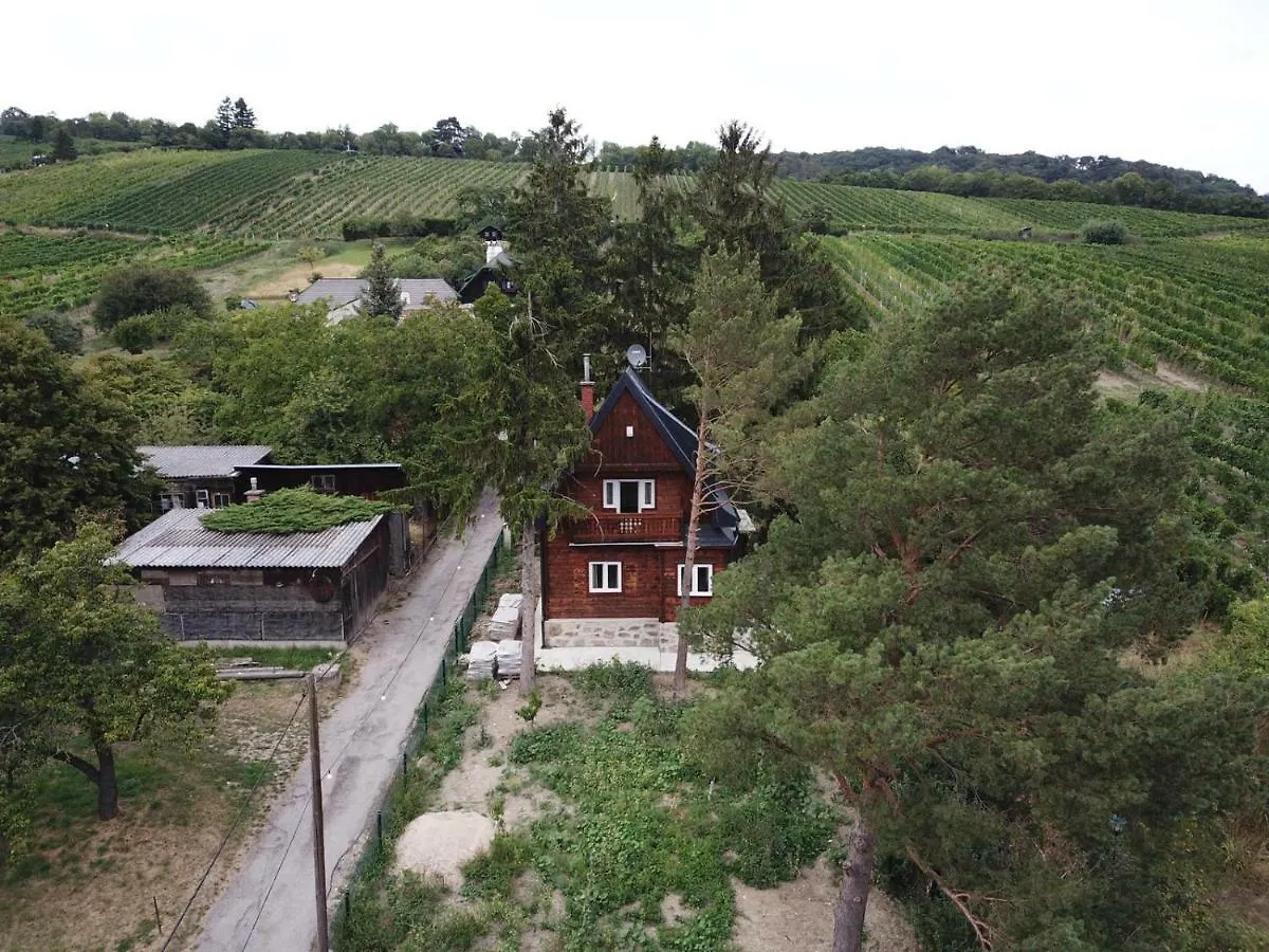 Vacationhome In The Vineyards Vienna 0*,