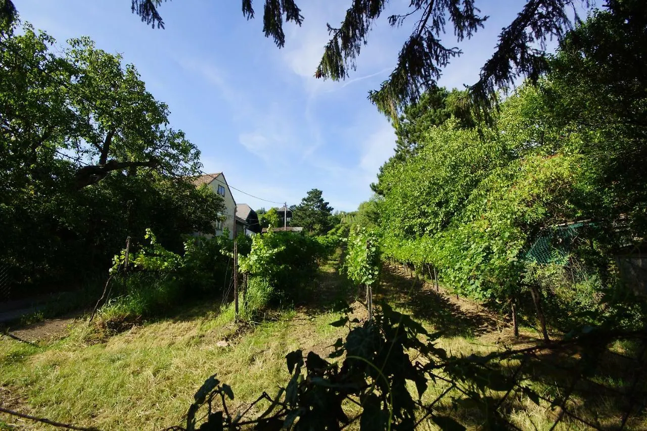 Holiday home Vacationhome In The Vineyards Vienna